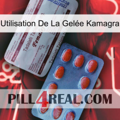 Utilisation De La Gelée Kamagra 36